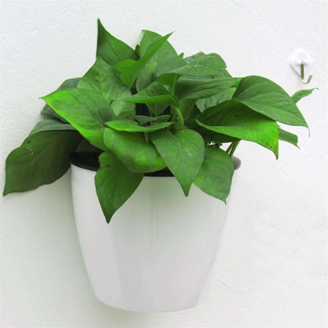 Plantiva – Vertical self-watering flowerpot for modern living