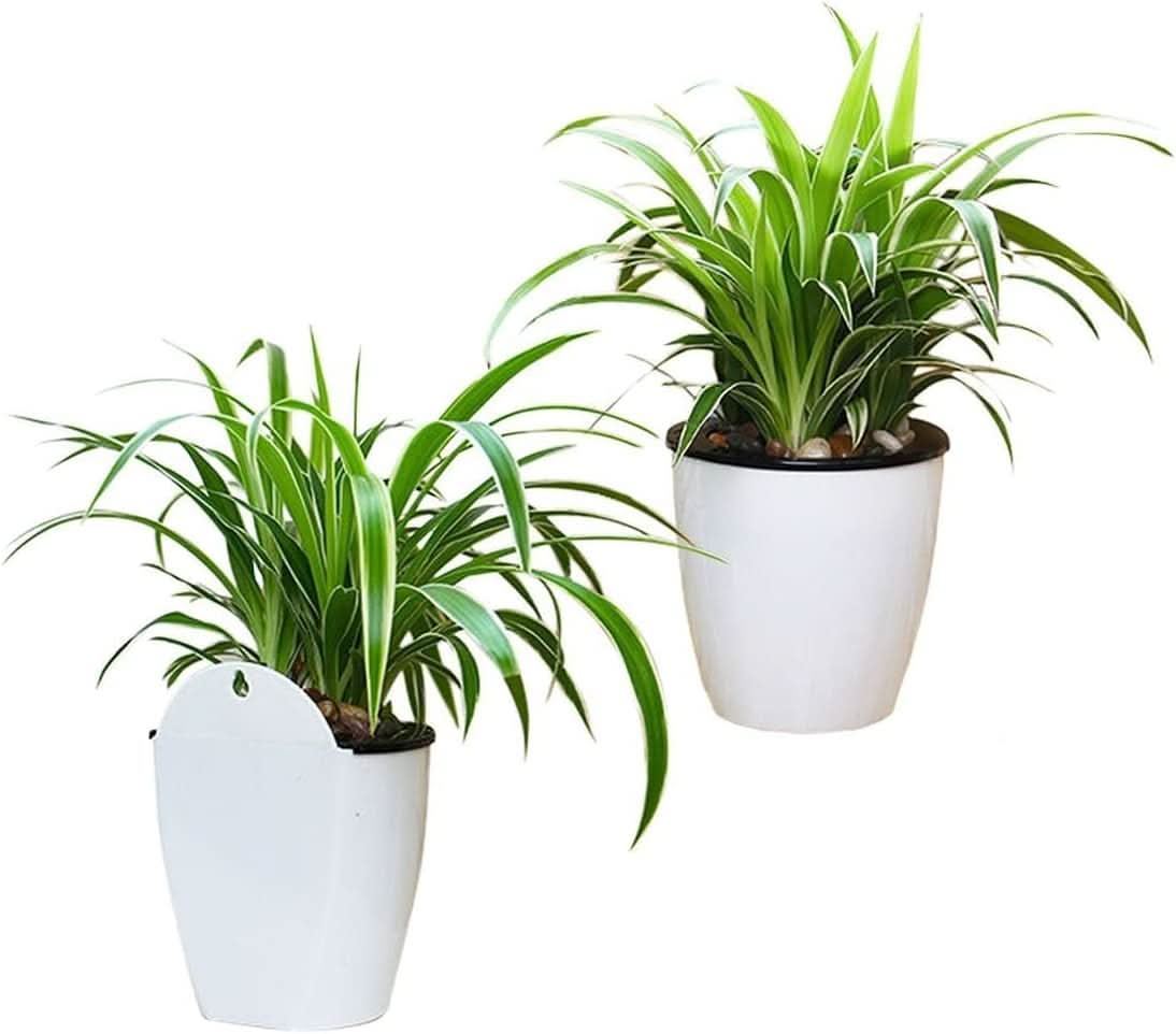 Plantiva – Vertical self-watering flowerpot for modern living