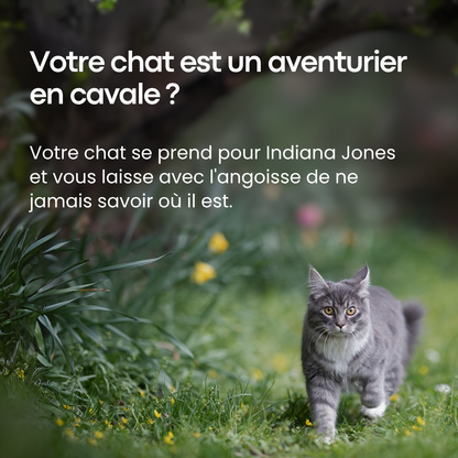 GPS Pour Chat Sans Abonnement - FlashDiscount
