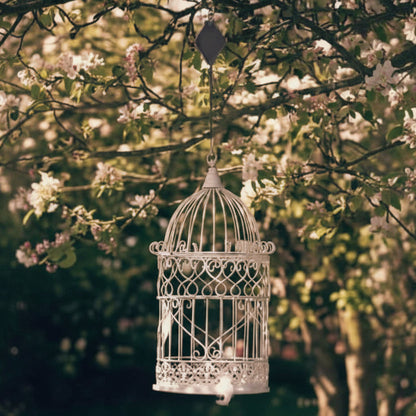 GARDENLIFT – Height-adjustable Hanging System for Plants & Birdhouses