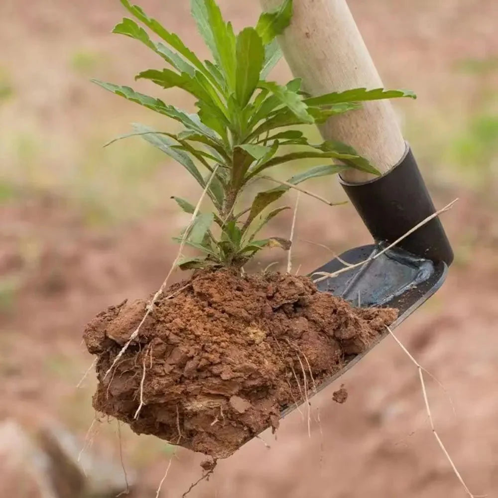 HACKRA – Steel garden hoe for weeding and digging