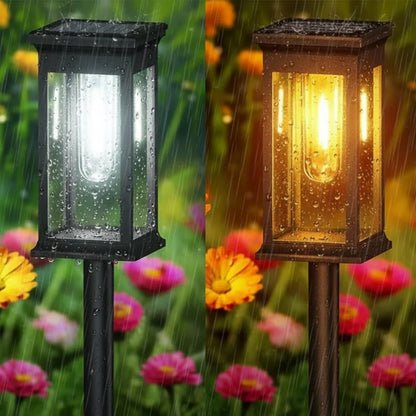 SOLENZA – Solar LED Outdoor Lights with Automatic Control & Ambient Lighting