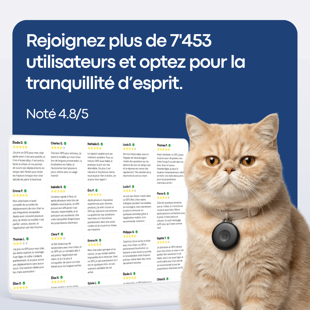 GPS Pour Chat Sans Abonnement - FlashDiscount