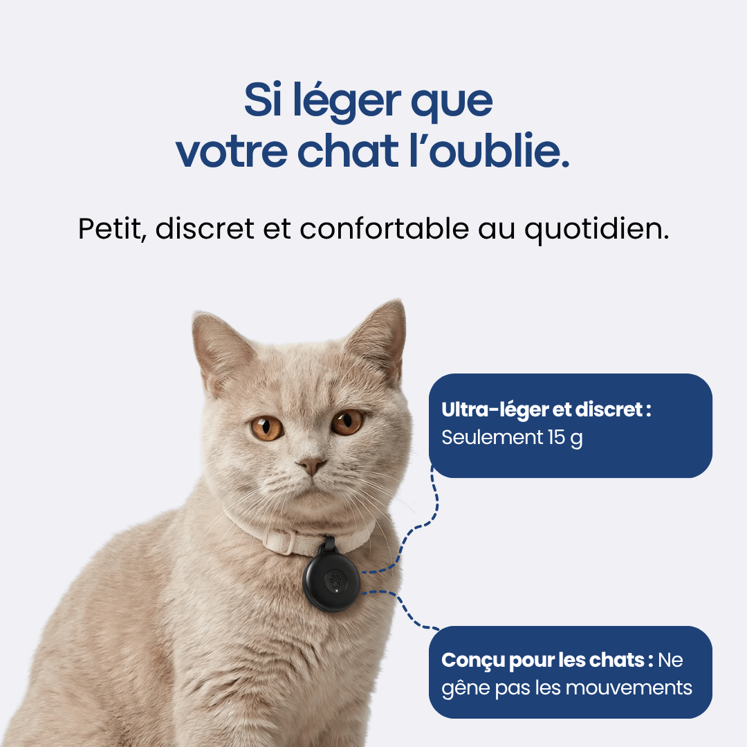 GPS Pour Chat Sans Abonnement - FlashDiscount