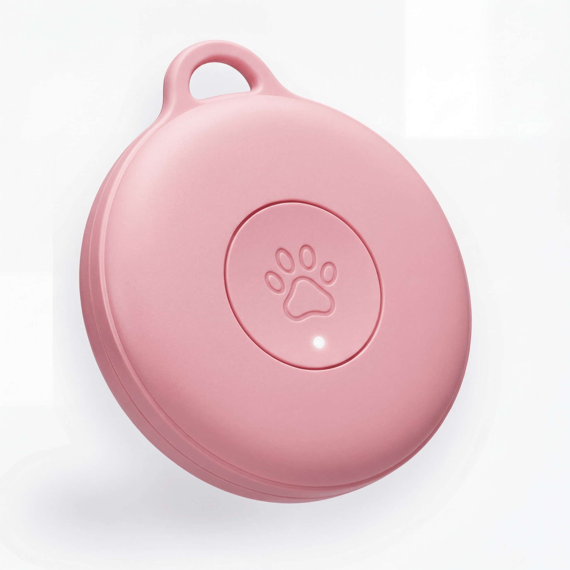GPS Pour Chat Sans Abonnement - FlashDiscount