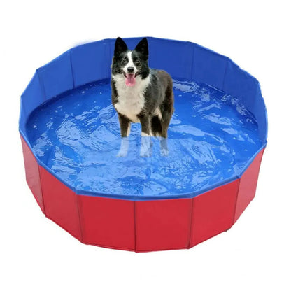 Piscine pliable pour chien