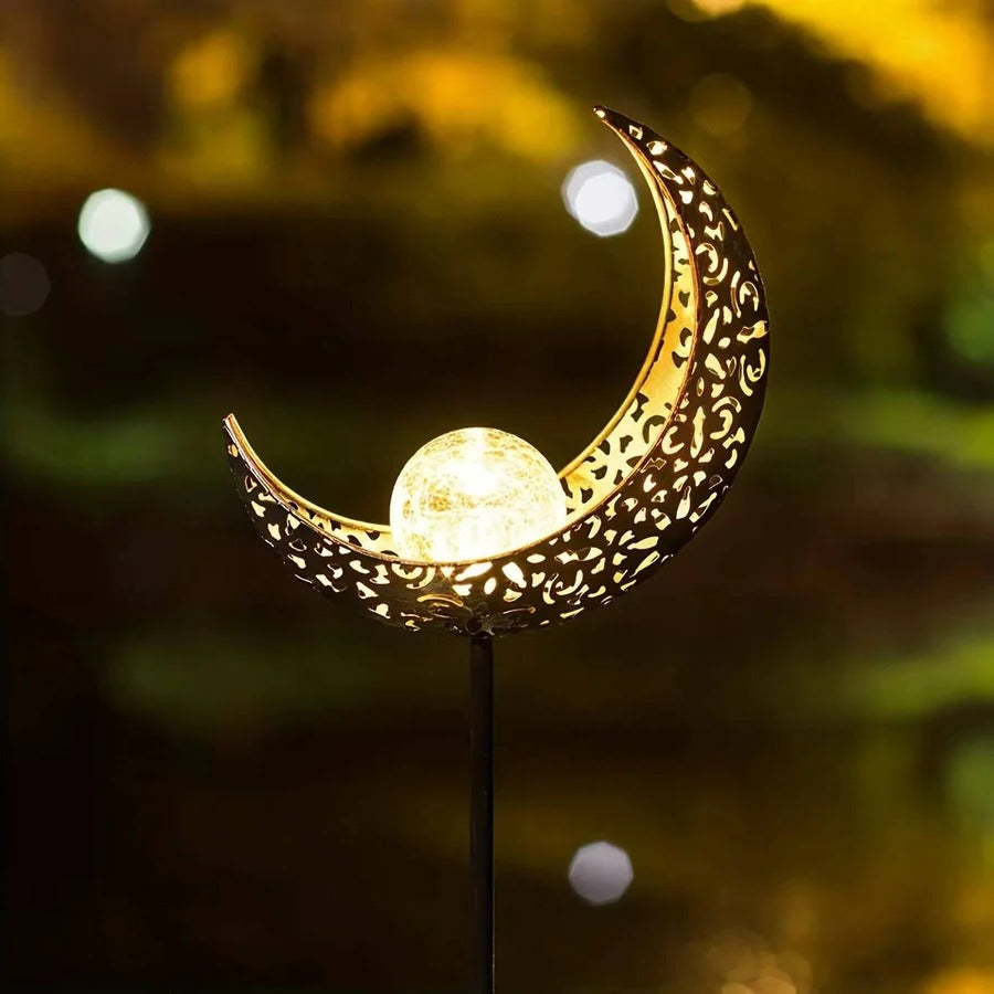 Décorations lumineuses de jardin pour l'extérieur