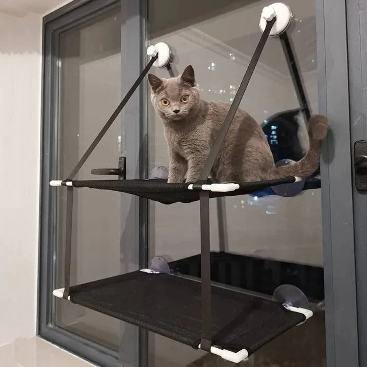 Hamac et perchoir pour chat à fixer à la fenêtre