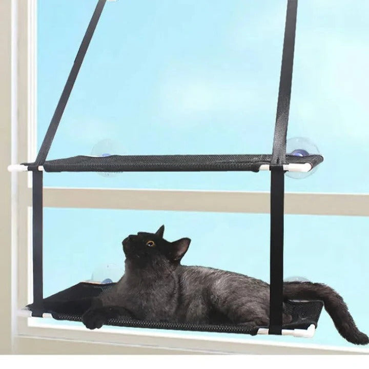 Hamac et perchoir pour chat à fixer à la fenêtre