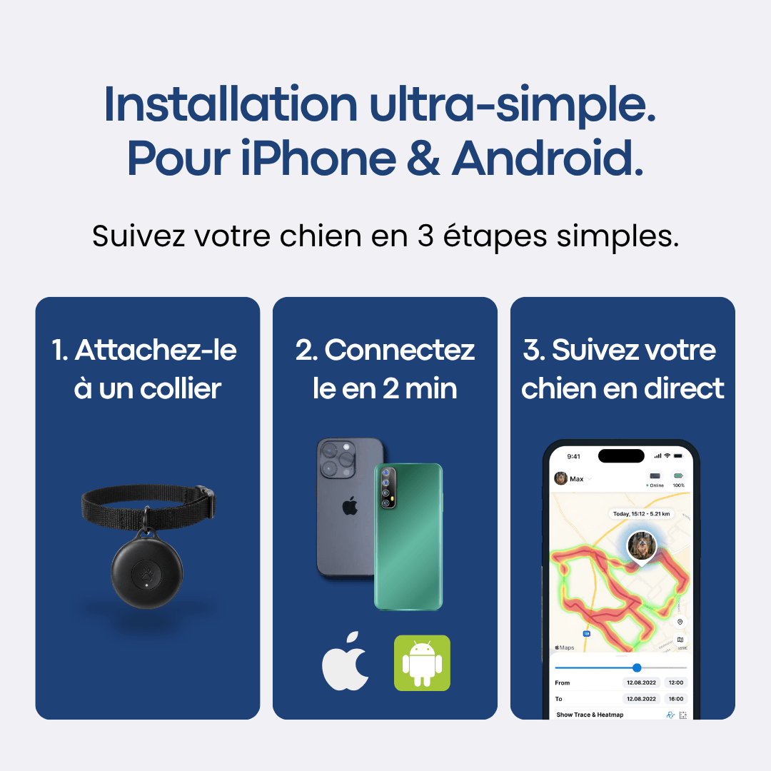 Traceur GPS Chien sans Abonnement - FlashDiscount