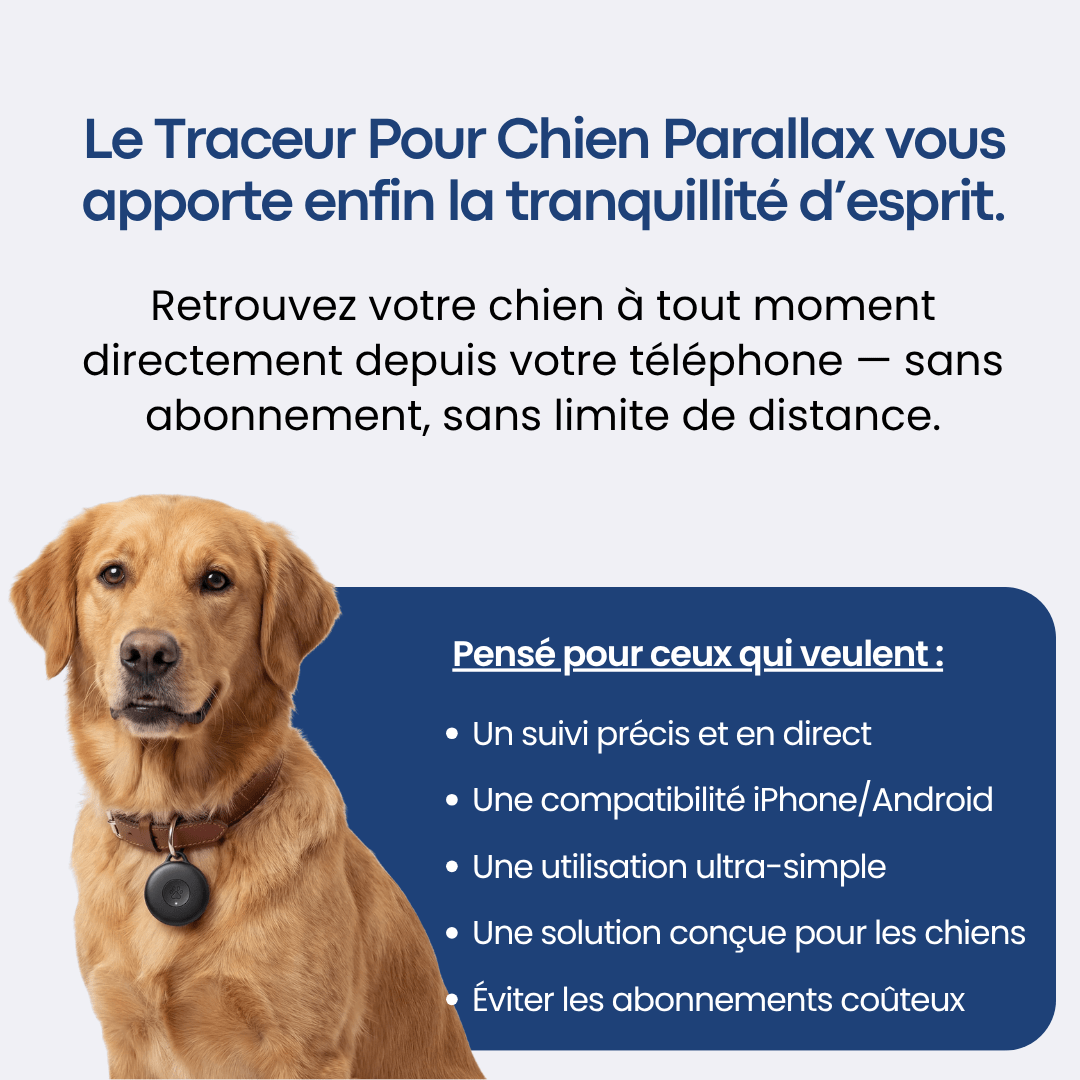 Traceur GPS Chien sans Abonnement - FlashDiscount