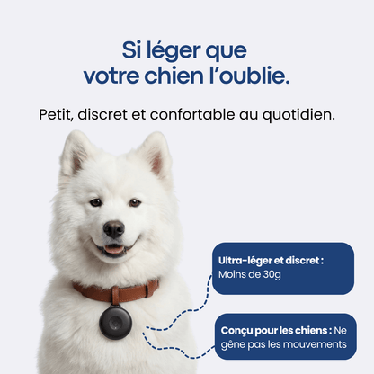 Traceur GPS Chien sans Abonnement - FlashDiscount