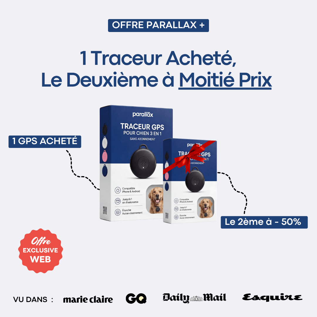 Traceur GPS Chien sans Abonnement - FlashDiscount